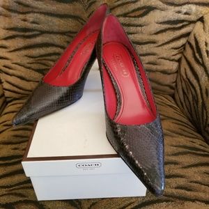 Coach Allison Python Pumps